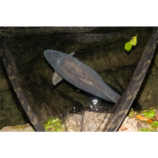 Nash Scope Black Ops Landing Net | épuisette de débarquement