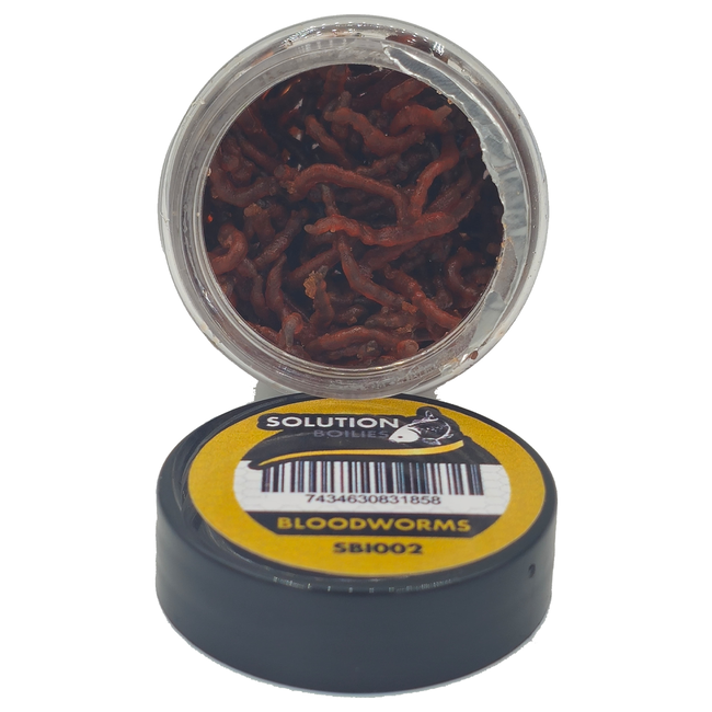 CC Solution Boilies Real Ones - Bloodworm - Appât réaliste imitant la gelée