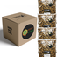 CC Solution Boilies Premium Range - Honey Citrus Boilies - 20KG - Box Deal