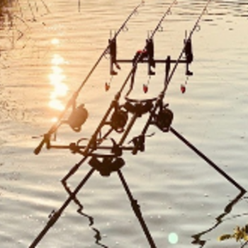 Rod pod