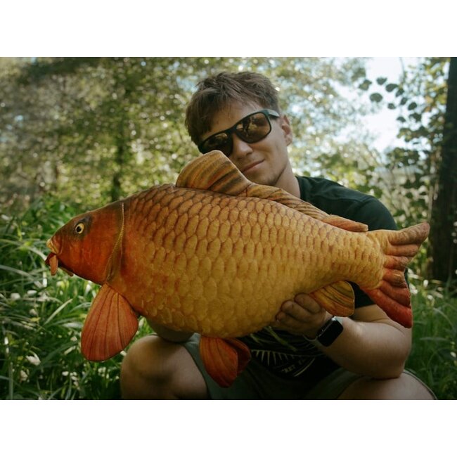 Delphin Carpy - Peluche