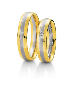 Breuning 48040450 & 48040460