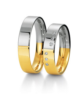 Breuning 48040590 & 48040600 Breuning 48040590 & 48040600