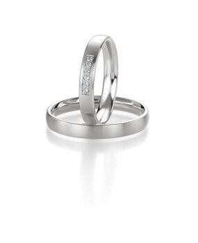 Breuning 48056290 & 48056300 Breuning 48056290 & 48056300