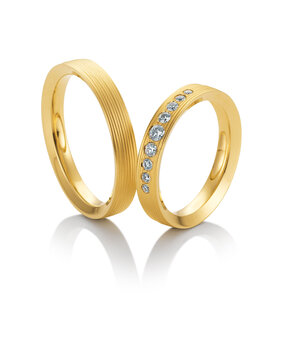 Breuning 48042530 & 48042540