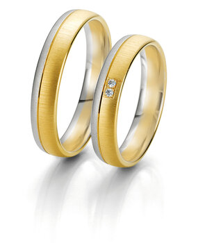 Breuning 48062290 & 48062300