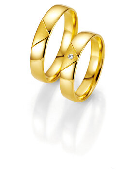 Breuning 48070070 & 48070080 Breuning 48070070 & 48070080