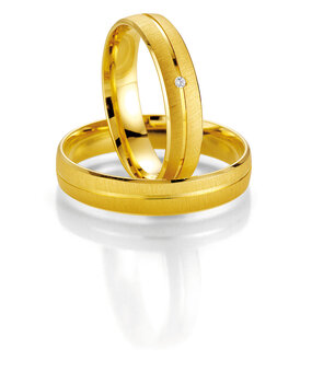 Breuning 48070090 & 48070100