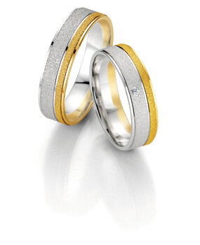 Breuning 48070650 & 48070660