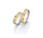 Collection Ruesch Wedding Rings 66/65030-060 & 66/65040-060