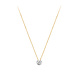 Blush Blush 3052BZI, Collier 14 krt bicolor goud