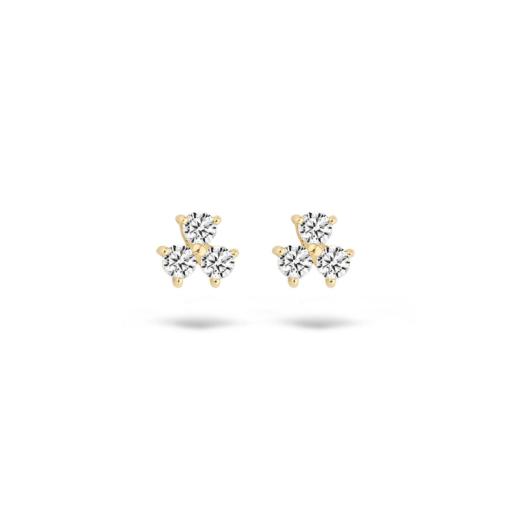 Blush Blush 7197yzi, Oorstekers 14 krt geelgoud