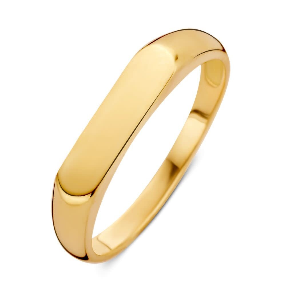 Excellent Jewelry Excellent RM106717-56, Ring 14 krt geelgoud