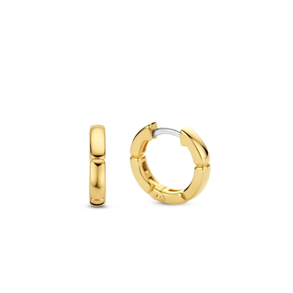 Ti Sento Ti Sento 7889SY, Creolen Zilver