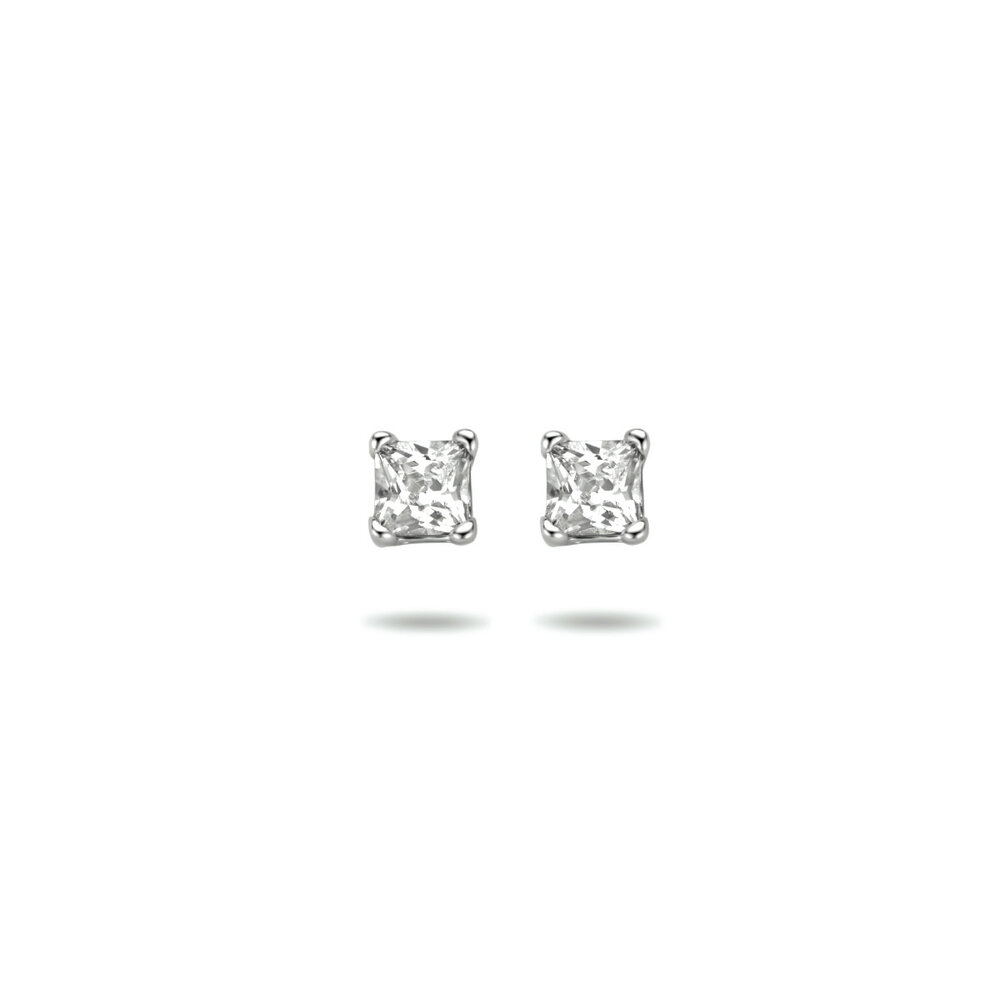 Langerak Essentials Kasius 1306161, Oorstekers Zilver