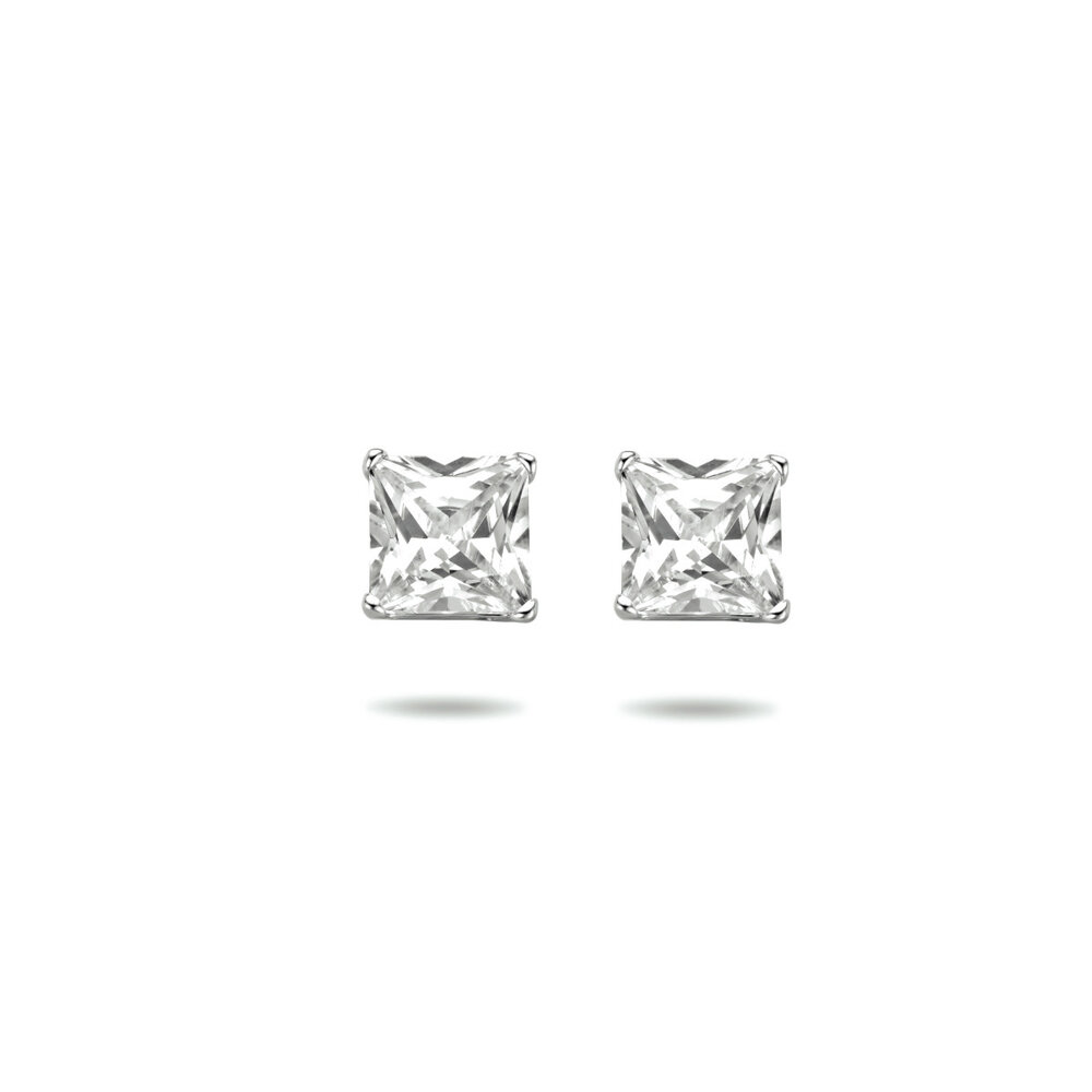 Langerak Essentials Kasius 1306166, Oorstekers Zilver