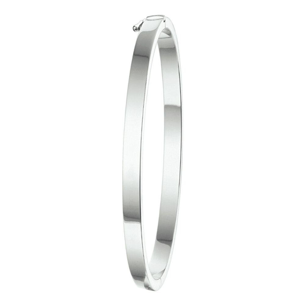 Langerak Essentials Kasius 1324526, Bangle Zilver