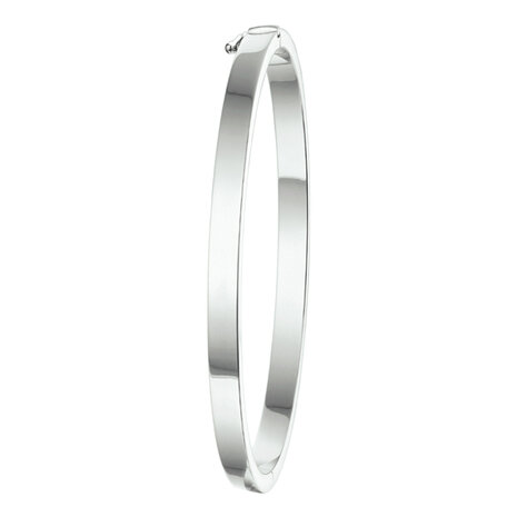 Langerak Essentials Kasius 1324526, Bangle Zilver