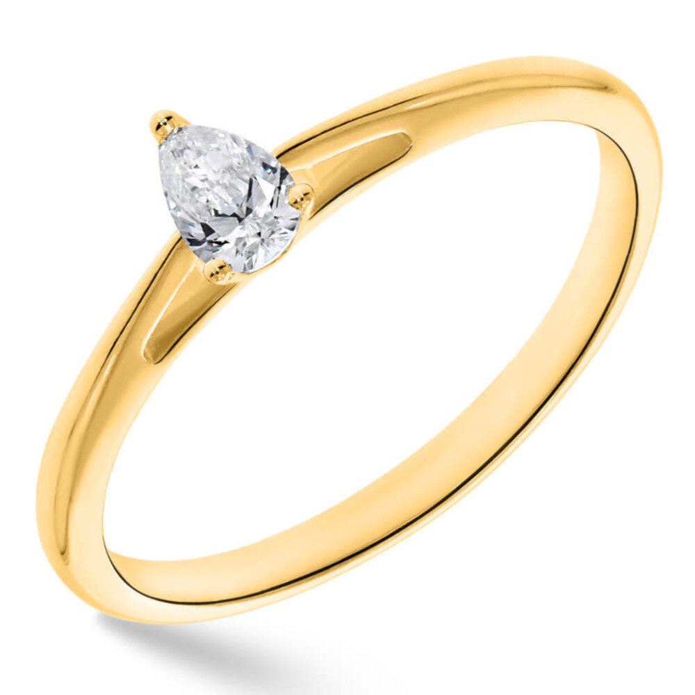 Pas Diamonds Pas Diamonds GGA3125, Ring 14 krt geelgoud