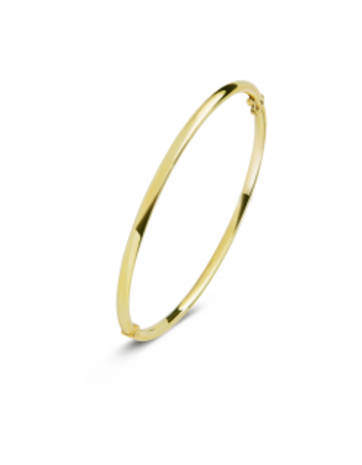 Fjory Fjory 40-A305804, Bangle ZilGold