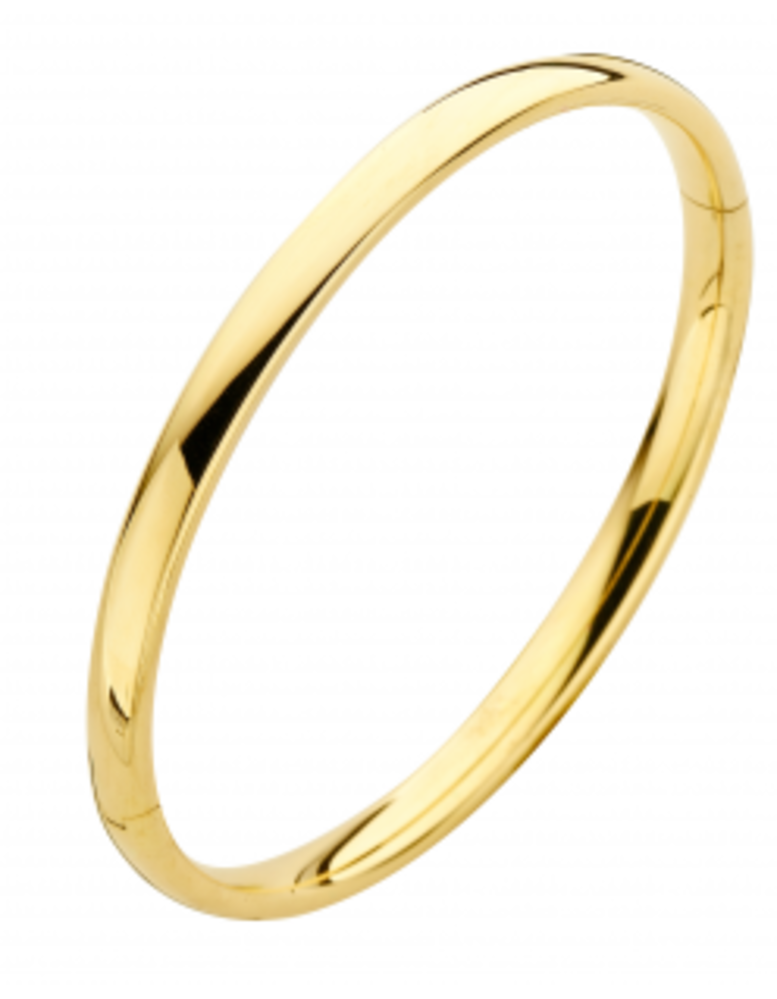 Fjory Fjory 40-A356108, Bangle ZilGold