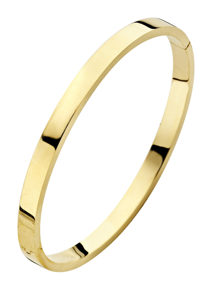 Fjory Fjory 40-A386105, Bangle ZilGold