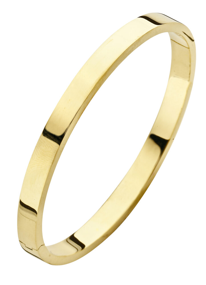 Fjory Fjory 40-A386106, Bangle ZilGold