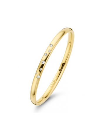 Fjory Fjory 40-Aster-0.34, Bangle ZilGold