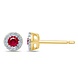 Langerak Natural Diamonds Langerak Diamonds GTD332-R-G, Oorstekers met robijn en diamant