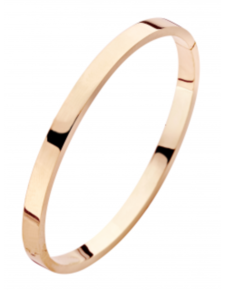 Fjory Fjory 60-A386105, Bangle ZilGold rosé