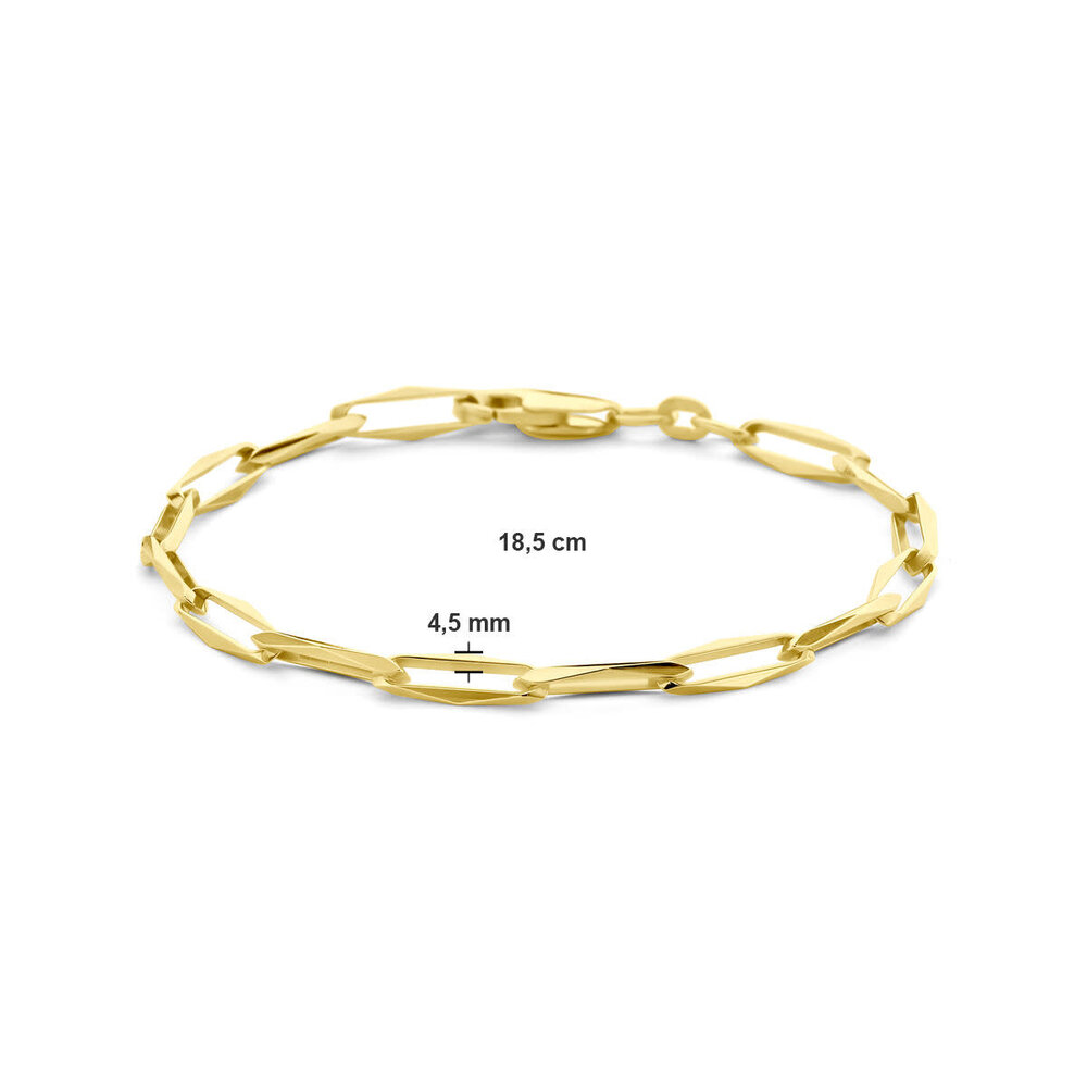 Langerak Essentials Langerak Essentials 4028817, Closed Forever Armband 14krt geelgoud