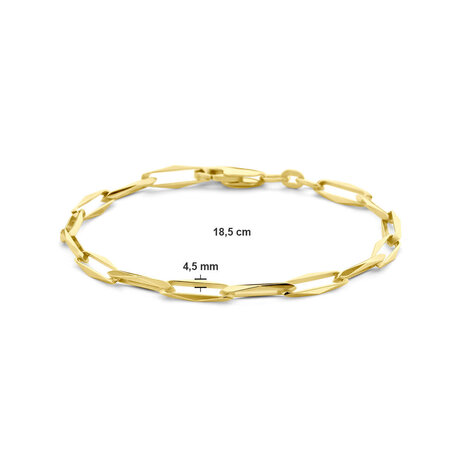 Langerak Essentials Langerak Essentials 4028817, Closed Forever Armband 14krt geelgoud