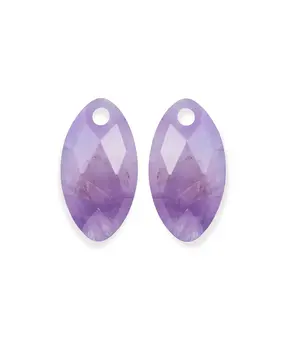 Sparkling Jewels Sparkling Jewels EAGEM05-FCLF-S, Creoolhangers Amethist