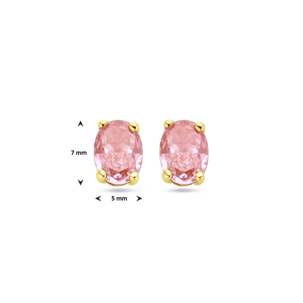 Langerak Essentials Kasius 4030856, Oorstekers 14krt geelgoud