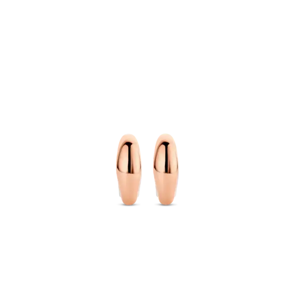 Ti Sento Ti Sento 7804SR, Oorhangers Zilver