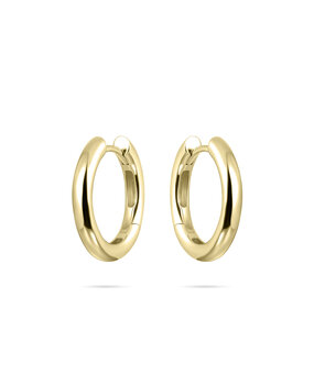 Langerak Essentials Gisser KCL3/20Y, Creolen Goldplated