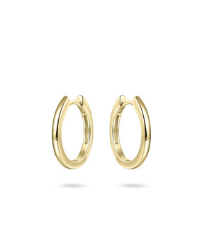 Langerak Essentials Gisser KCA2/18Y, Creolen Goldplated