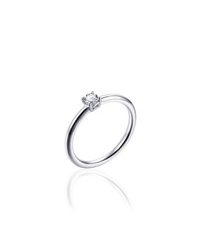 Langerak Essentials Gisser R394, Ring Zilver
