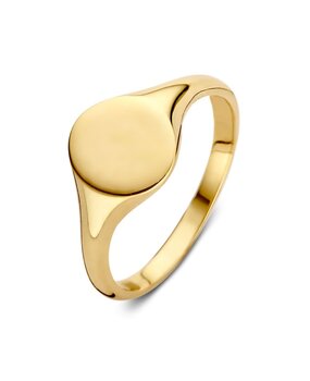 Excellent Jewelry Excellent RE107310-56, Ring 14 krt geelgoud