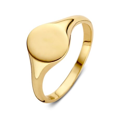 Excellent Jewelry Excellent RE107310-56, Ring 14 krt geelgoud