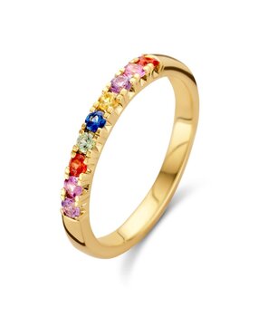 Excellent Jewelry Excellent RG137169-56, Ring 14 krt geelgoud