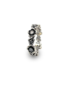 Pandora Pandora 190122CZ