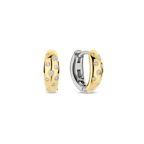 Ti Sento Ti Sento 78006ZY, creolen zilver