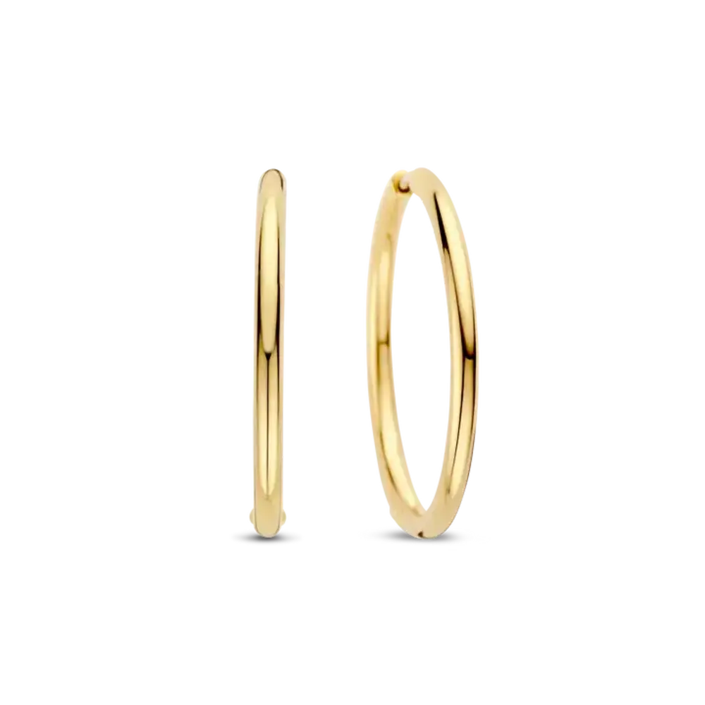 Ti Sento Ti Sento 78007SY, Creolen zilver