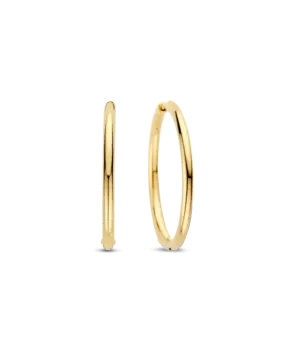 Ti Sento Ti Sento 78007SY, Creolen zilver