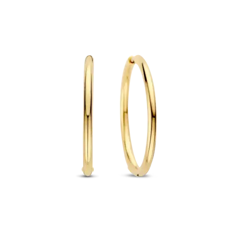 Ti Sento Ti Sento 78007SY, Creolen zilver