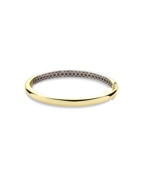 Langerak Essentials Langerak Essentials BA6Y-60, Bangle goldplated