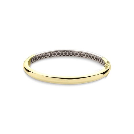 Langerak Essentials Langerak Essentials BA6Y-60, Bangle goldplated