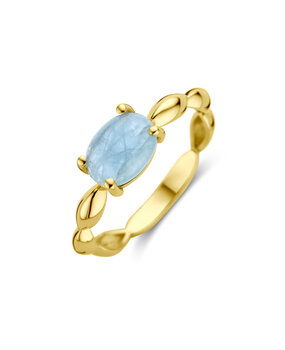 Langerak Essentials Langerak Essentials 40.30506, ring