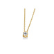Saint Maurice Saint Maurice 61/01442-0-G, Collier met hanger Briljant 14 krt geelgoud